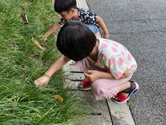 -映月湖公园