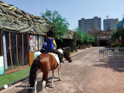 -宝燕乐园(闵行旗舰店)