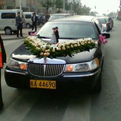 -蚂蚁婚车