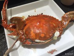 -苏大嘴海鲜牧场(奥林匹克店)
