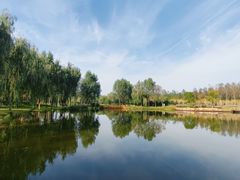 -东郊湿地公园