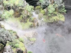 -唐河王记·南阳民间菜(国基路店)