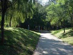 -长白岛森林公园