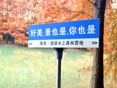 -上海海湾国家森林公园