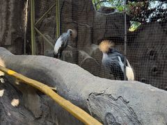 -长鹿旅游休博园