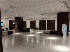 -爱康卓悦体检中心(河西新地中心分院)