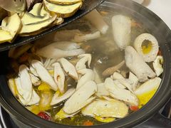 -蘑统田下·野生菌火锅