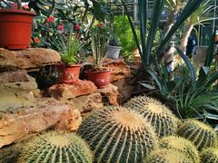 -国家植物园南园