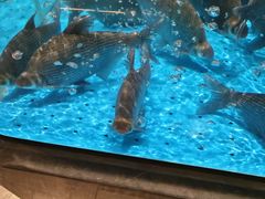 -艳阳天·非遗楚菜(武汉客厅店)