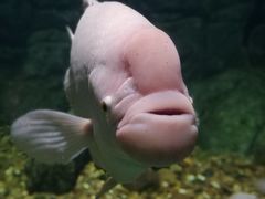 -常州海昌海洋探索馆