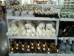 android_upload_pic-济州岛泰迪熊博物馆