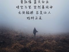 -宝宇大连海鲜渔港(金奎大厦店)