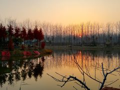 -合肥滨湖国家森林公园