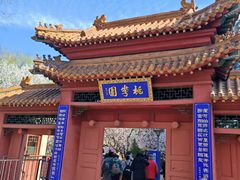 -桃花堤公园
