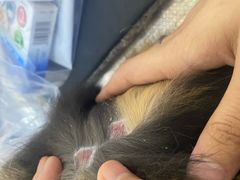 -酷宠动物医院(天通西苑店)