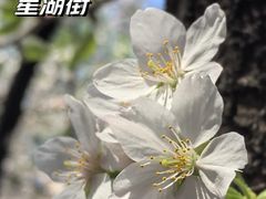 -星湖街(地铁站)