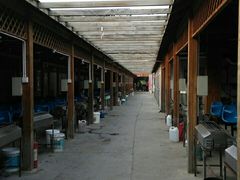 -亲兄弟真人CS团建拓展基地