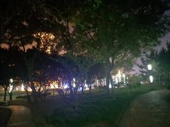 -日照灯塔风景区