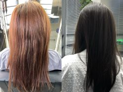 -Hair Code芭曲发型