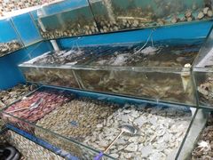 -港畔赶海蒸汽海鲜烧烤自助(仙螺岛店)