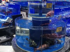-新海渔港·胶东海鲜家常菜·家宴(奥体中心店)