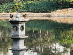 -团结湖公园