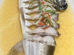 -沪上馨和小馆•海派上海菜(陆家浜路店)