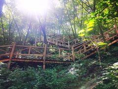 -大岭沟猕猴桃谷风景区