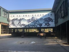 -野马国际·大汉食府