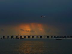 -宝安西湾红树林湿地公园