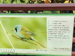 -绿堤公园