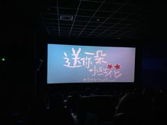 -璇宫国际影城(江汉路店)