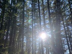 -白草畔自然风景区