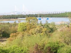 -上海崇明金茂凯悦酒店
