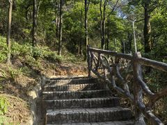 -大雁山风景区
