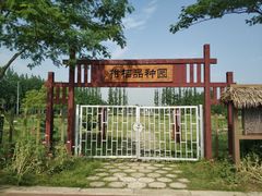 -前小桔亲子创意农场·草莓采摘·露营烧烤