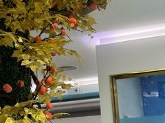 -美可普口腔医院(宝龙标杆店)