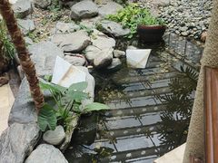 -顺峰·粤菜海鲜·早茶自助(阜成店)