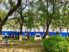 -永定河休闲森林公园