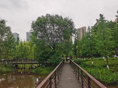 -沐仙湖湿地公园