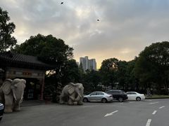 -华雅花园大酒店