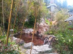 -天芳悦潭度假村温泉