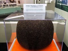 -中国茶叶博物馆(双峰馆区)