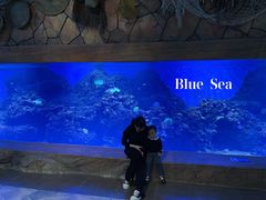 -华夏文旅海洋公园