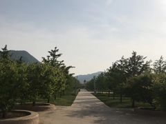 -丹东凤凰山景区