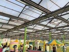 -南宫五洲植物乐园