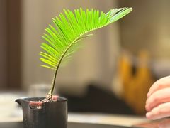 -梅花境(万科店)