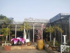 -阿细汉菜(本地盐帮菜名店)