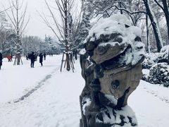 -迎泽公园