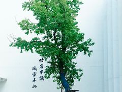 -中国宣纸文化园